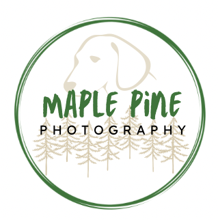 Maple Pine Photography